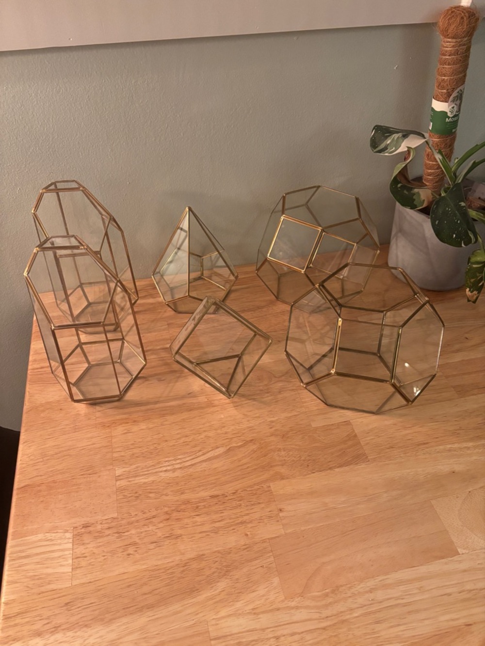 Geometric Glass Terrariums Gold Set of 6